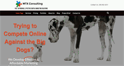 Desktop Screenshot of mtxconsulting.com