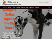 Tablet Screenshot of mtxconsulting.com